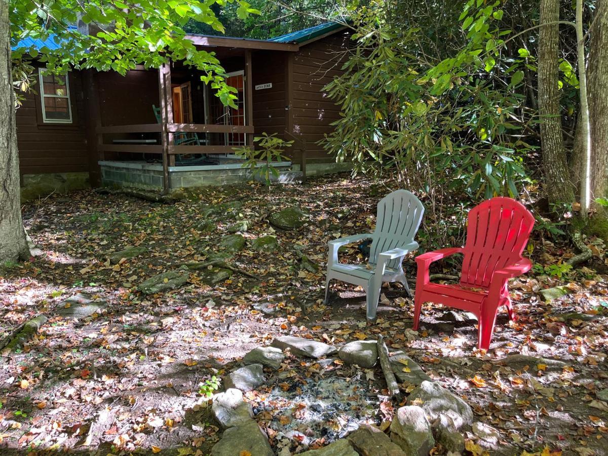 Cozy Cabin Pet Friendly Ada Compatible Maggie Valley Εξωτερικό φωτογραφία